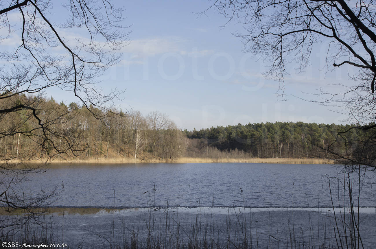 IMGP2081